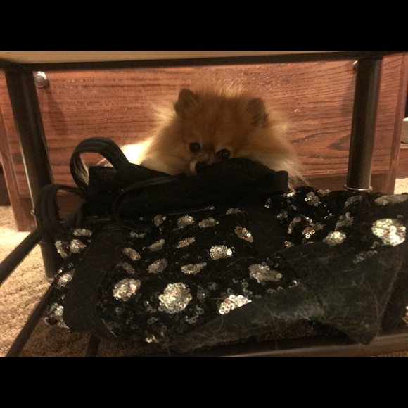 Meet your Posher, Dana - Picture 2 of 8